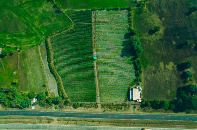 Farmland at Four Lane National Highway.