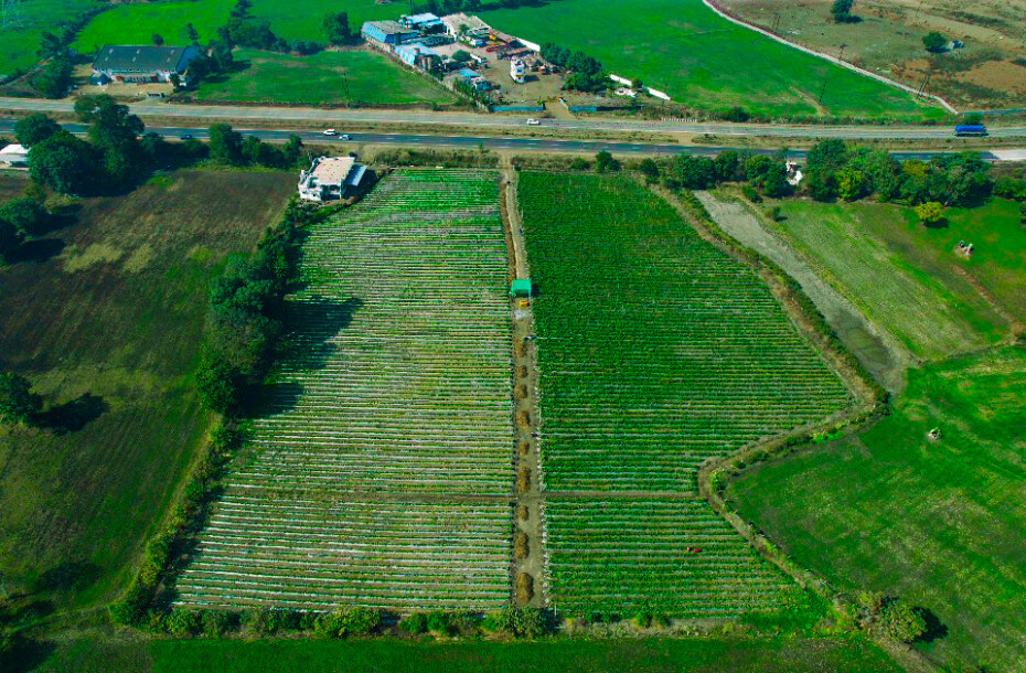 Farmland at Four Lane National Highway.-6