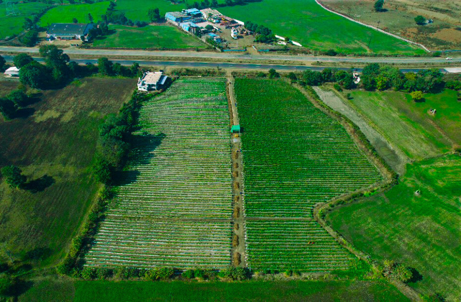 Farmland at Four Lane National Highway.-5