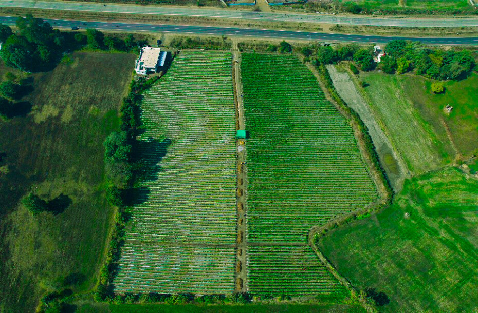 Farmland at Four Lane National Highway.-4