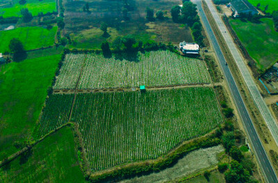 Farmland at Four Lane National Highway.