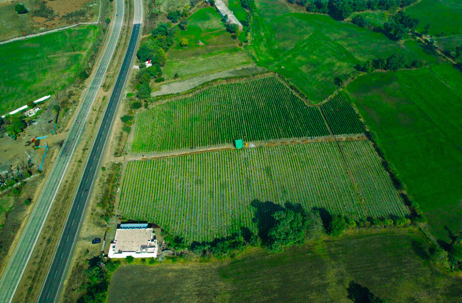 Farmland at Four Lane National Highway.-2