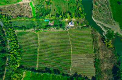 River Side Farmland At Bargi