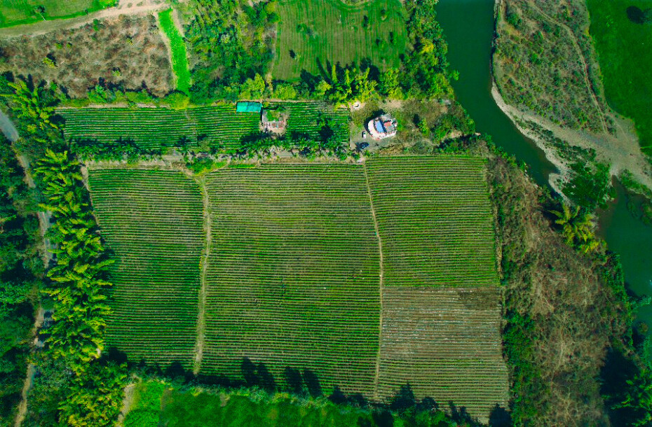 River Side Farmland At Bargi-12