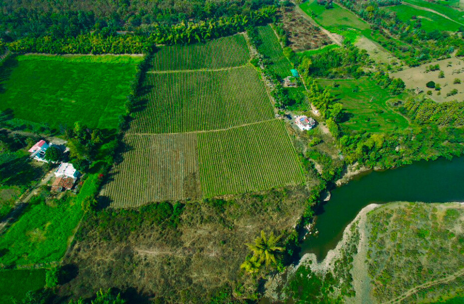 River Side Farmland At Bargi-3
