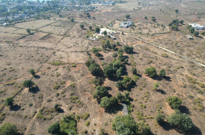 Forest Farm at Kundam