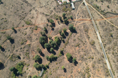 Forest Farm at Kundam