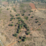 Forest Farm at Kundam