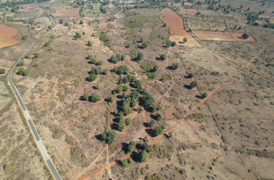 Forest Farm at Kundam-1